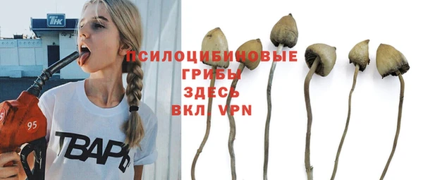 каннабис Верея